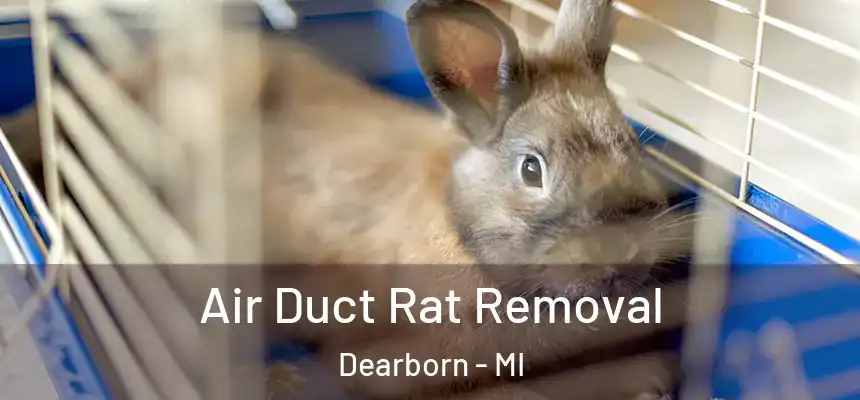  Air Duct Rat Removal Dearborn - MI