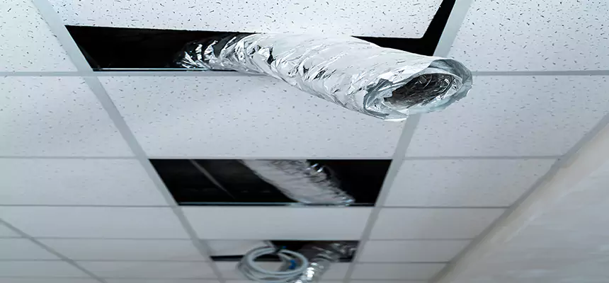 Affordable HVAC Sanitizing After Pest Removal in Dearborn