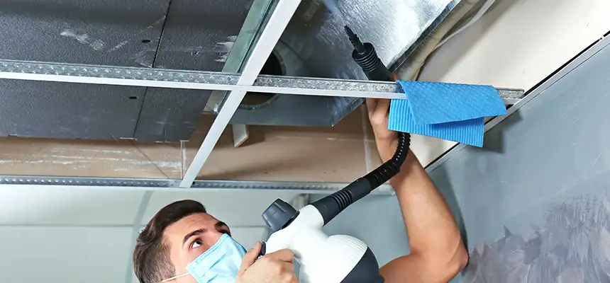 Our Air Duct Rodent Removal Services in Dearborn, MI