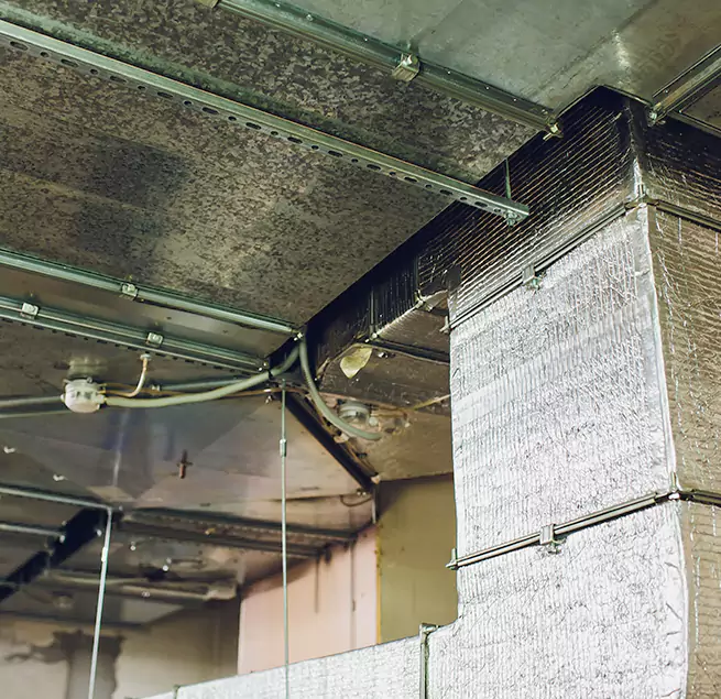 Why Homeowners & Businesses Trust Us in Dearborn, MI?